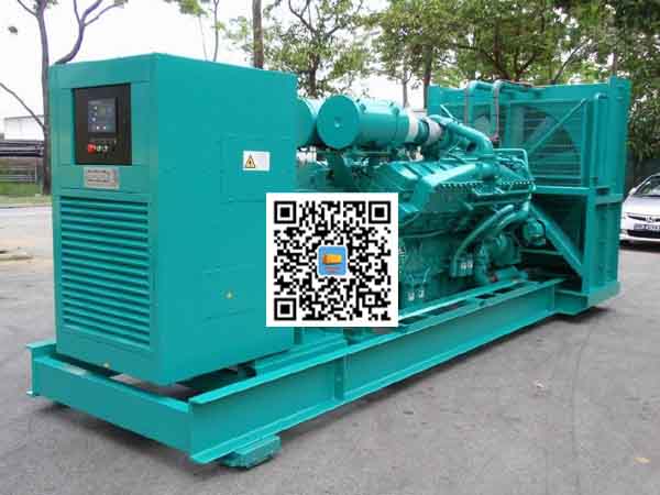 乐业租赁发电机-康明斯发电机性价比还是比较高的